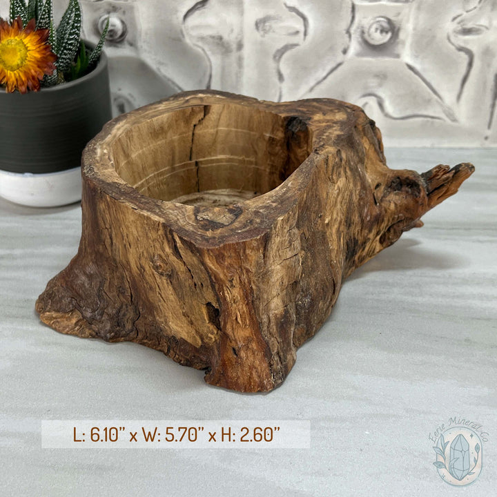 Nature Inspired Tree Stump Wooden Bowl