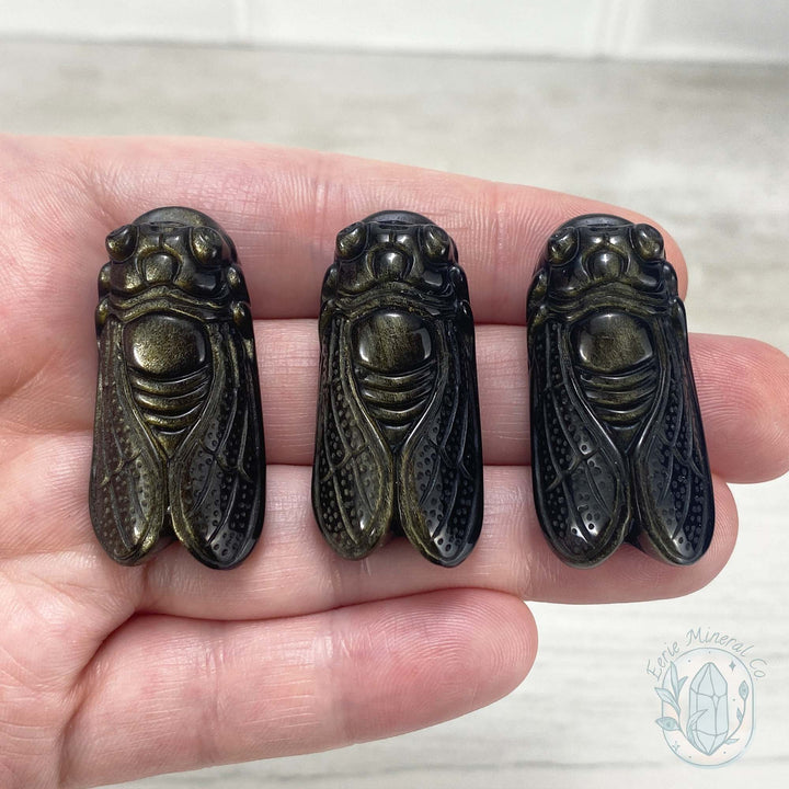 Polished Golden Sheen Black Obsidian Cicada Carving