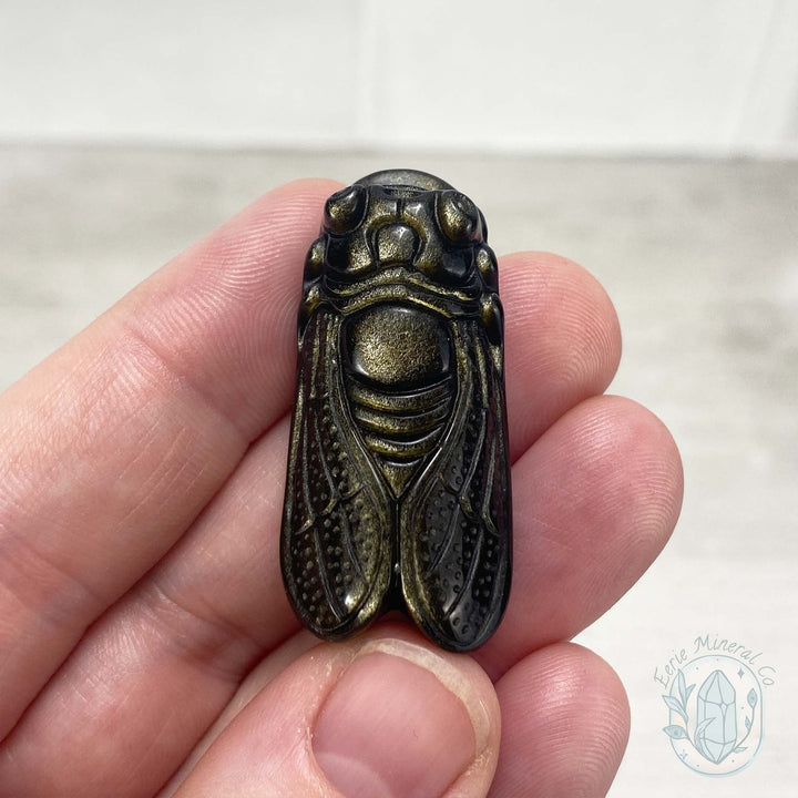 Polished Golden Sheen Black Obsidian Cicada Carving