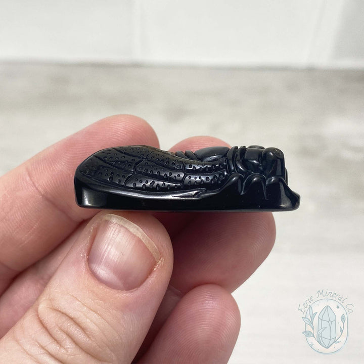 Polished Golden Sheen Black Obsidian Cicada Carving