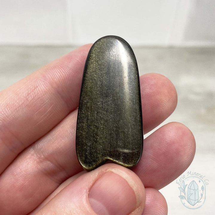 Polished Golden Sheen Black Obsidian Cicada Carving