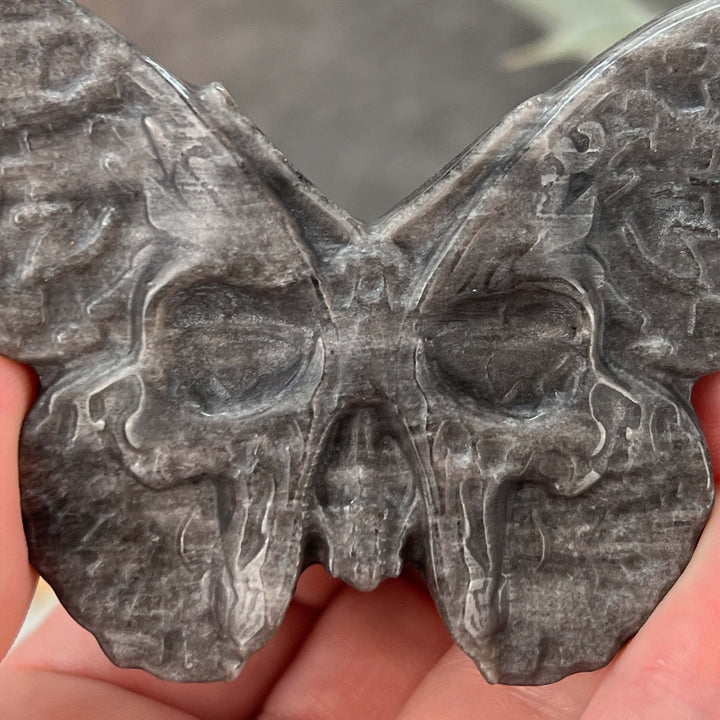 Gold Sheen Obsidian Death's Head Moth Carving