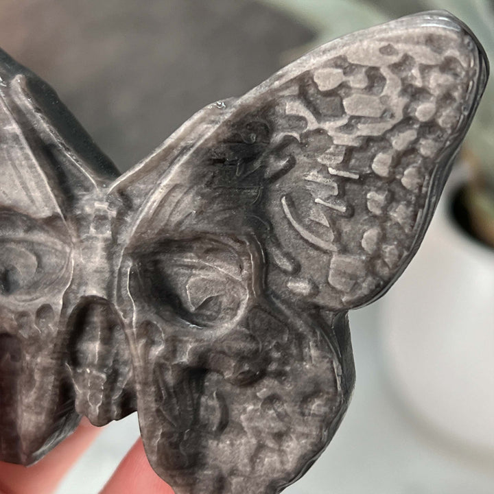 Gold Sheen Obsidian Death's Head Moth Carving