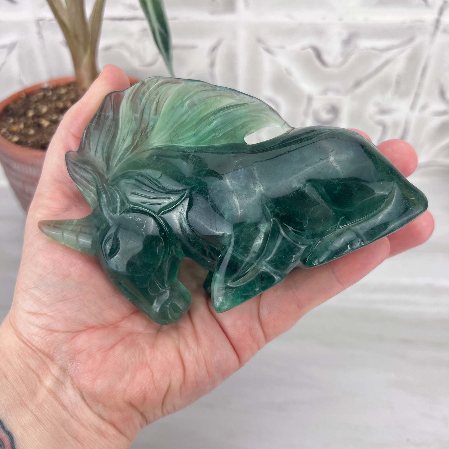 Polished Green Fluorite Unicorn Carving with Natural Wood Base