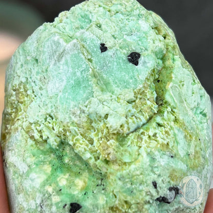 Green Moonstone with Black Tourmaline Hedgehog Specimen