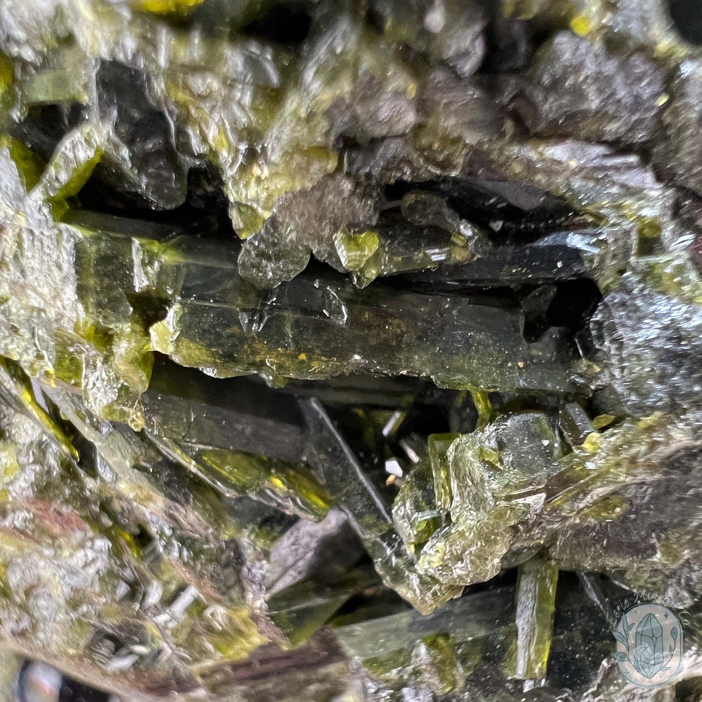 Raw Green Tourmaline Pet Rock Specimen