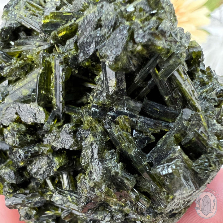 Raw Green Tourmaline Pet Rock Specimen