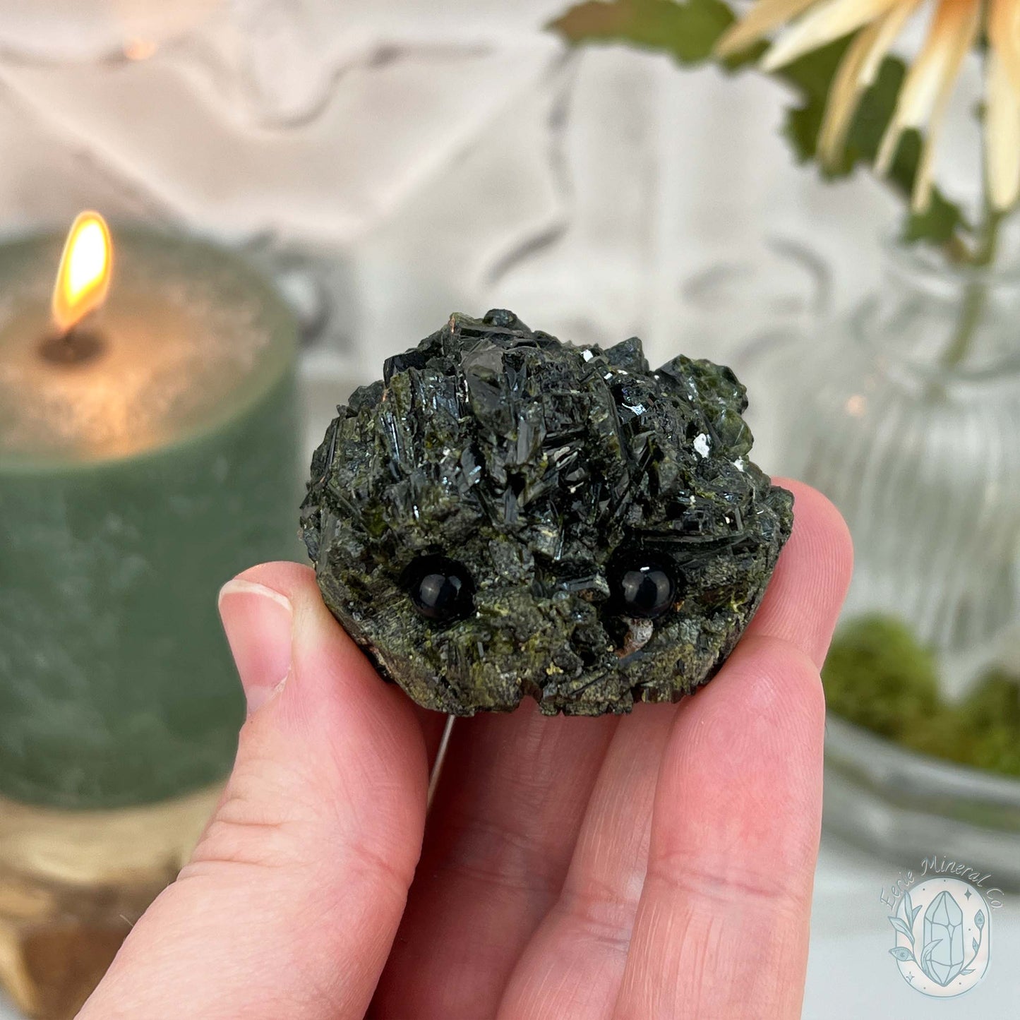 Raw Green Tourmaline Pet Rock Specimen