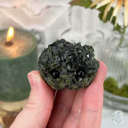 Raw Green Tourmaline Pet Rock Specimen
