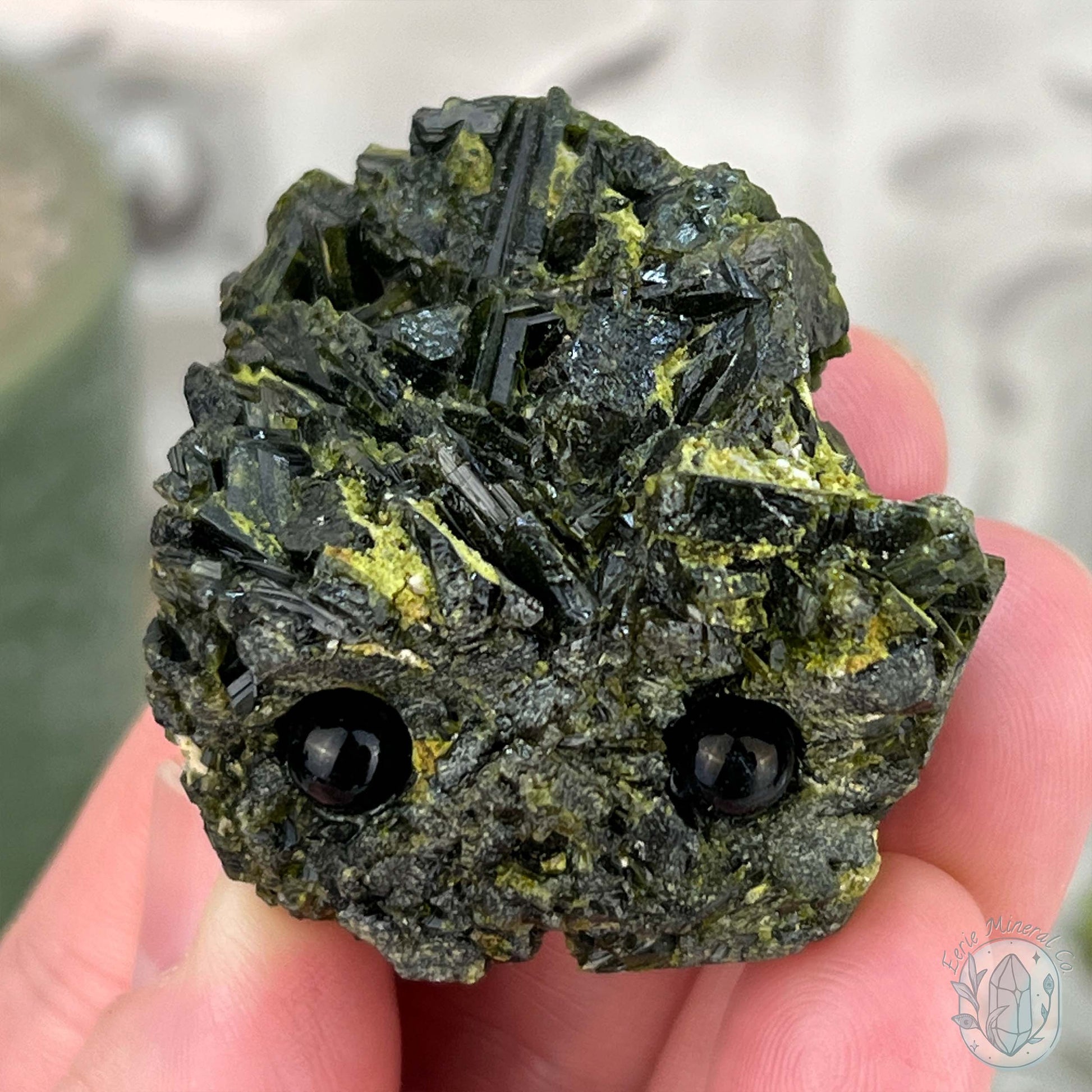 Raw Green Tourmaline Pet Rock Specimen