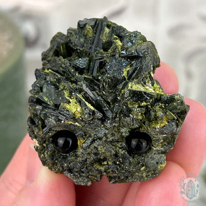 Raw Green Tourmaline Pet Rock Specimen