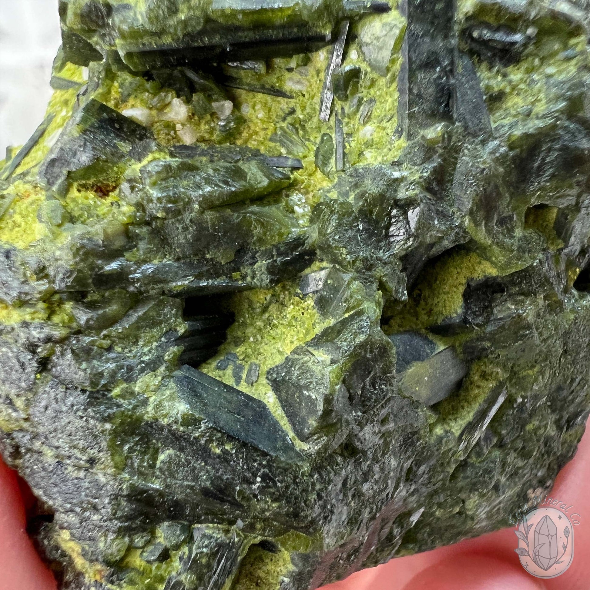 Raw Green Tourmaline Pet Rock Specimen