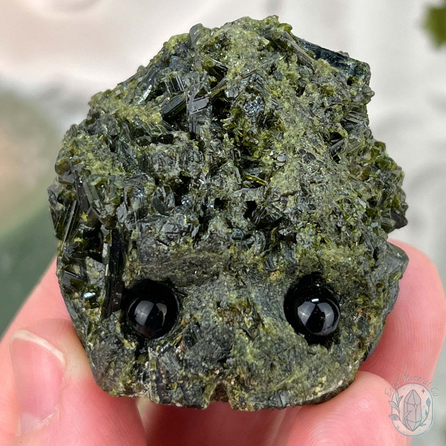 Raw Green Tourmaline Pet Rock Specimen