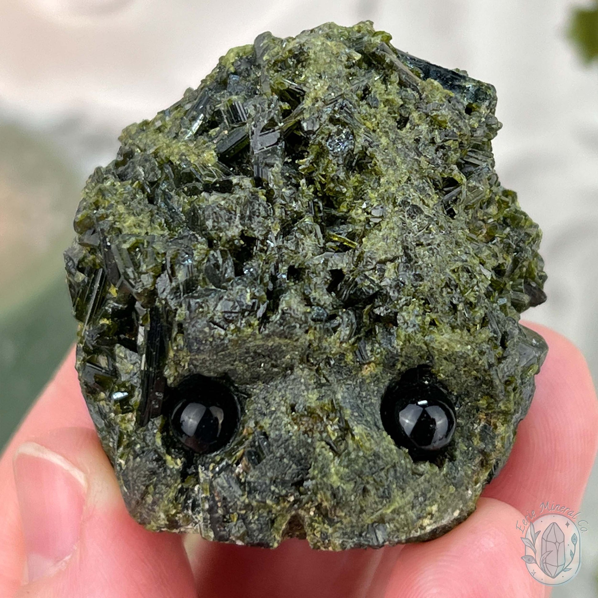 Raw Green Tourmaline Pet Rock Specimen