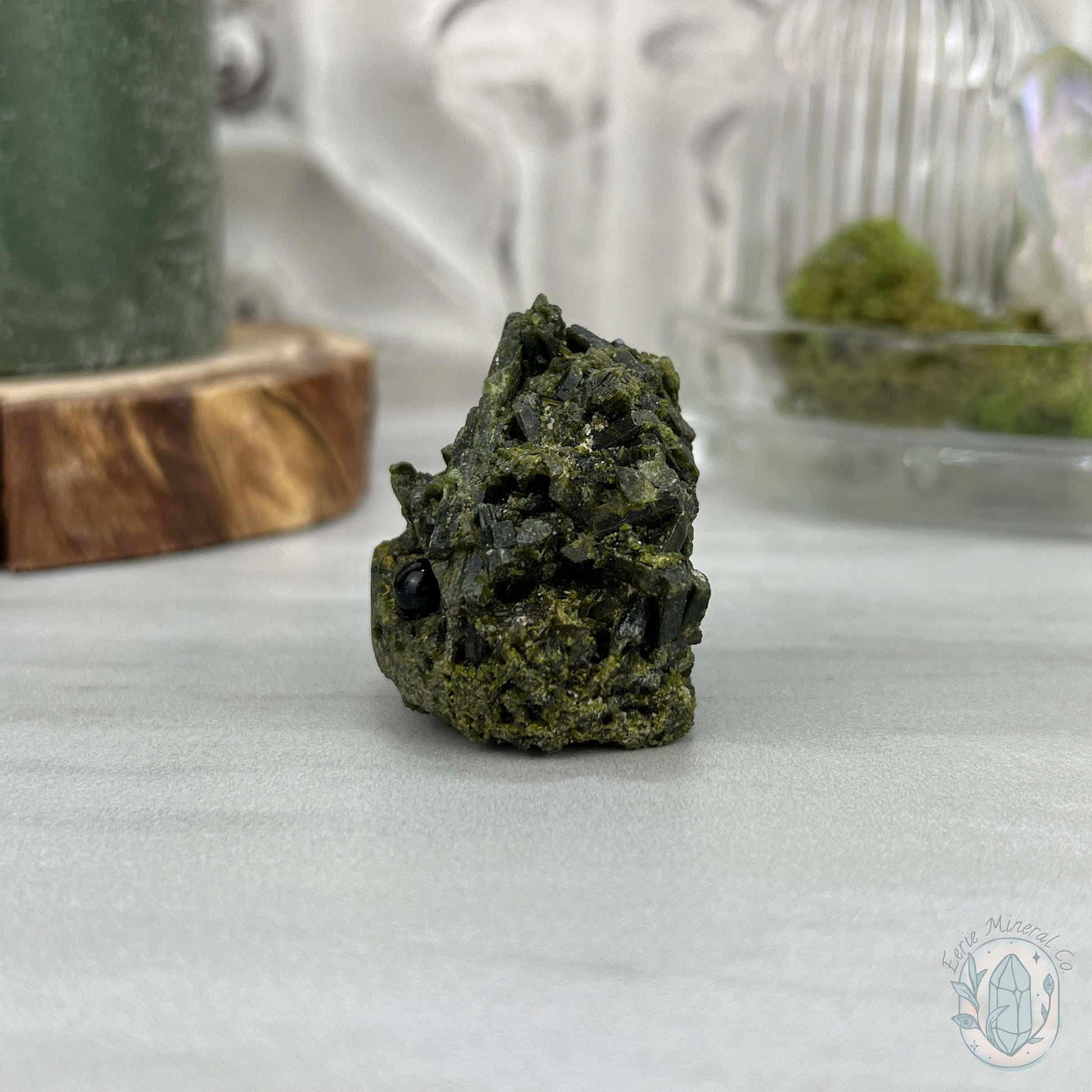 Raw Green Tourmaline Pet Rock Specimen