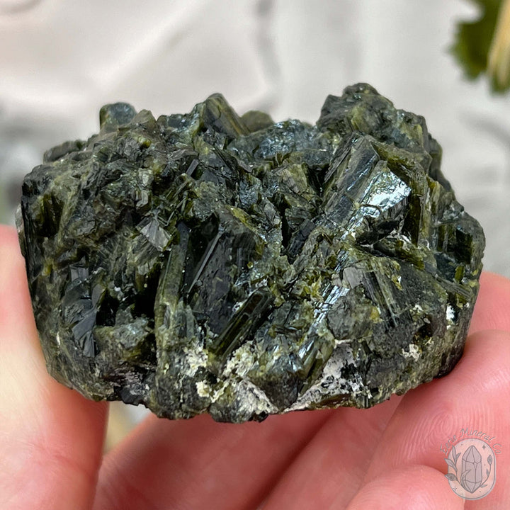 Raw Green Tourmaline Pet Rock Specimen