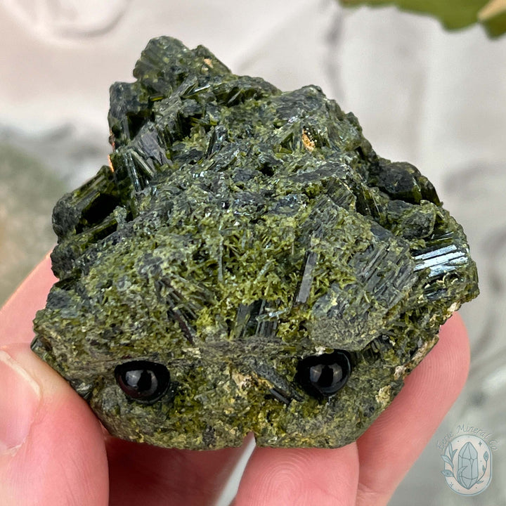 Raw Green Tourmaline Pet Rock Specimen