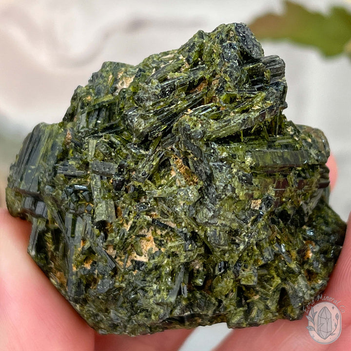 Raw Green Tourmaline Pet Rock Specimen