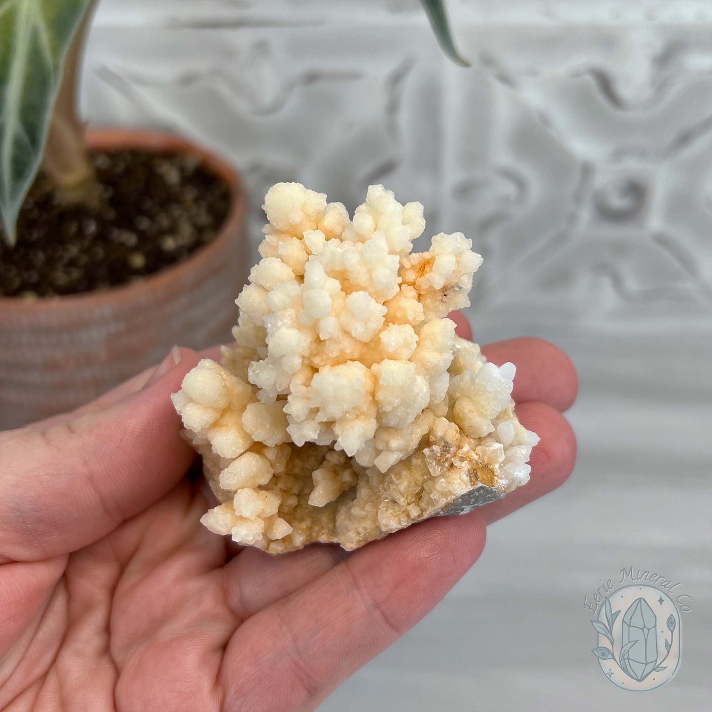 Natural Druzy Calcite Cave Stalactite Specimen