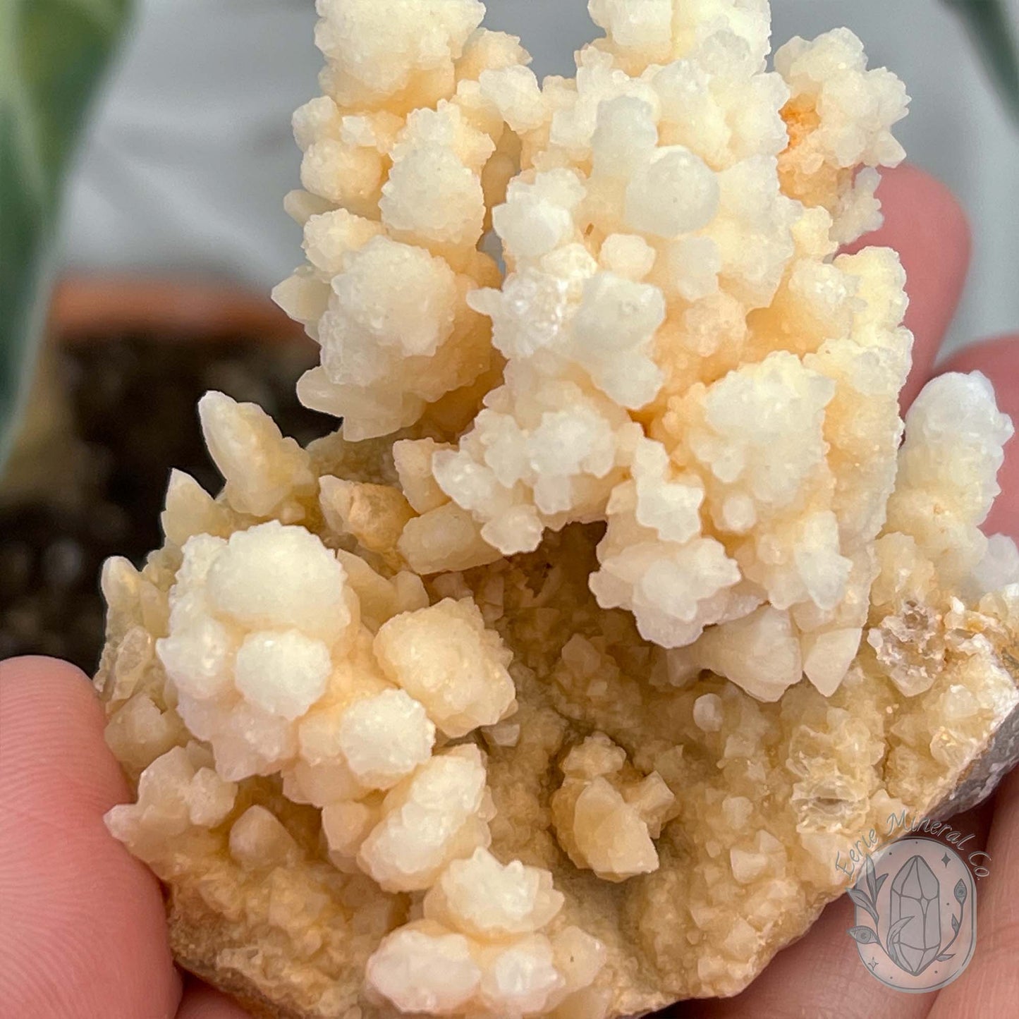 Natural Druzy Calcite Cave Stalactite Specimen
