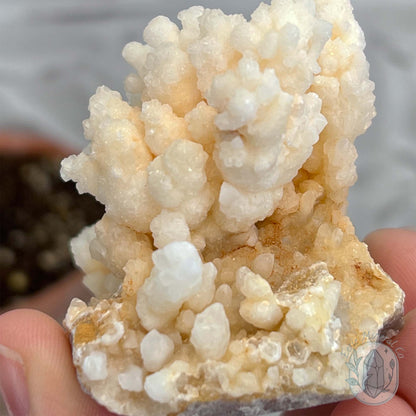 Natural Druzy Calcite Cave Stalactite Specimen