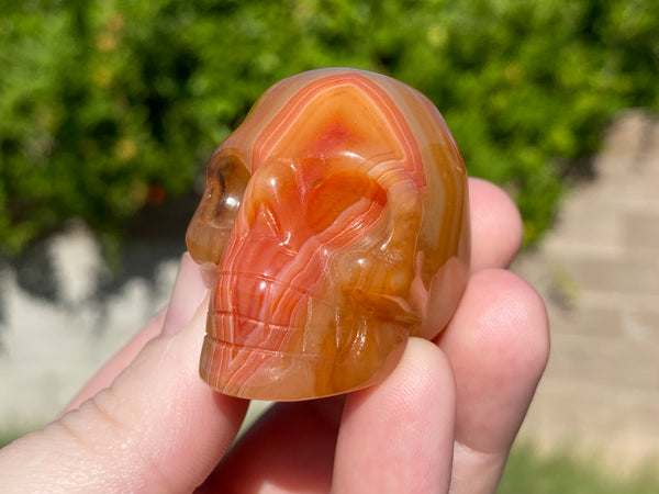 Red Agate Crystal Skull