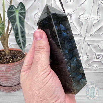 Polished Golden Flash Labradorite Tower