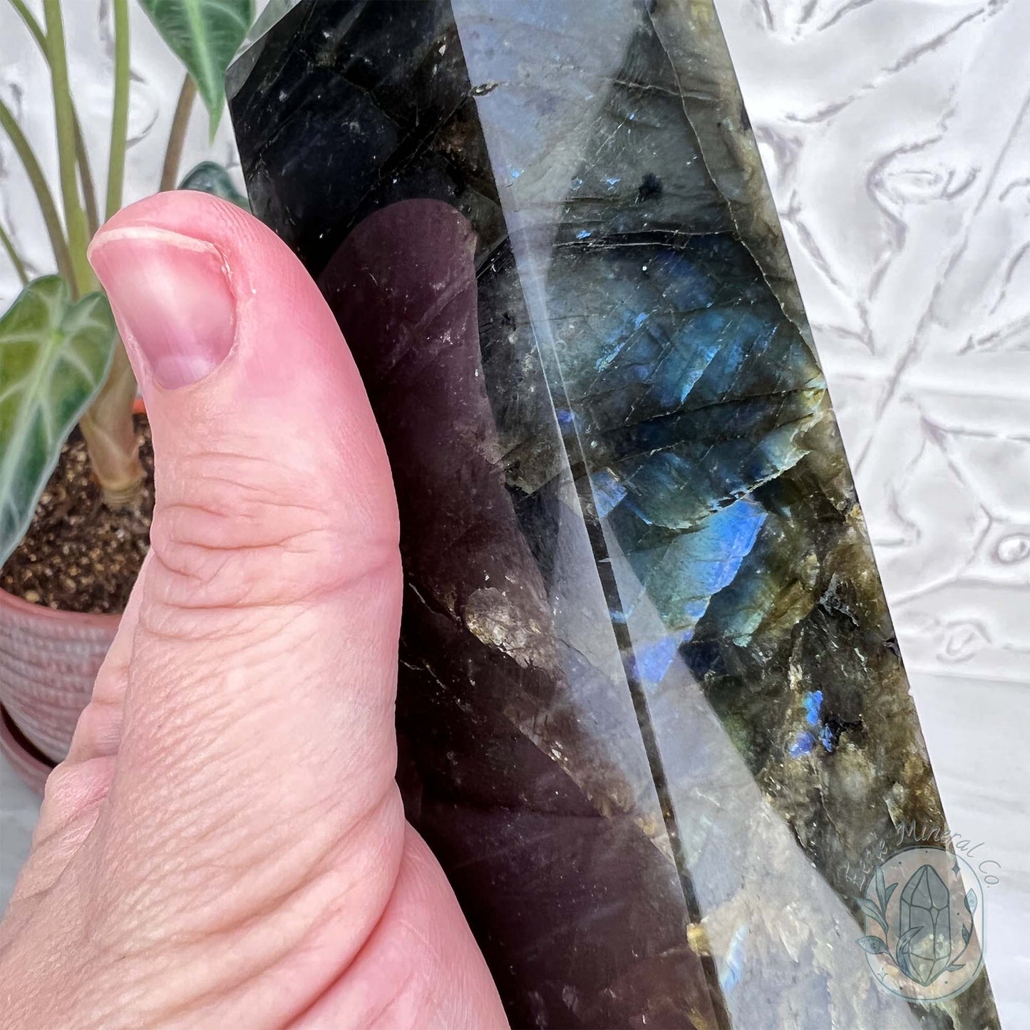 Polished Golden Flash Labradorite Tower