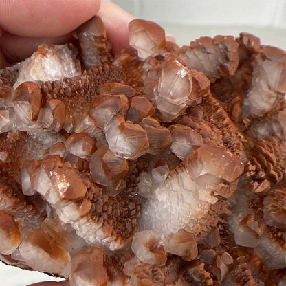 Lenticular (Red Pagoda) Calcite Specimen