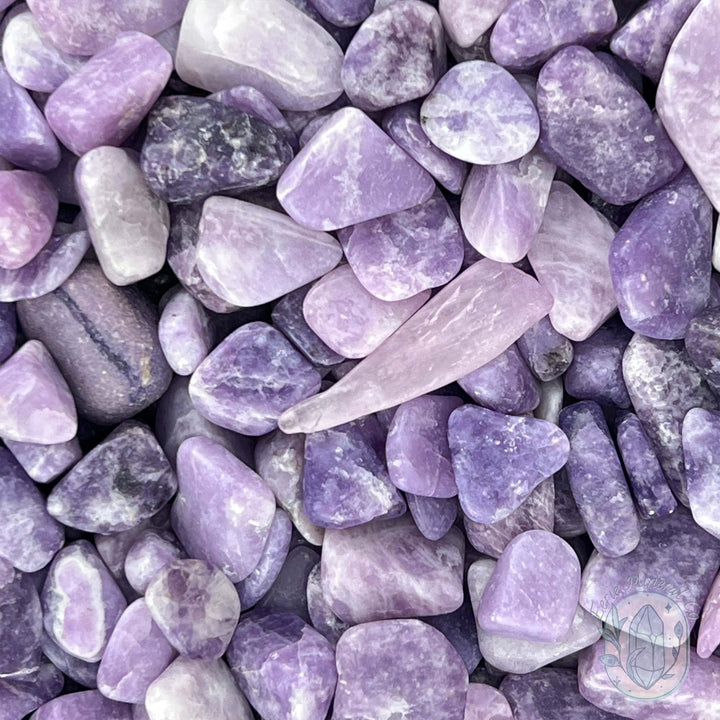 Polished Lepidolite Stone Chips