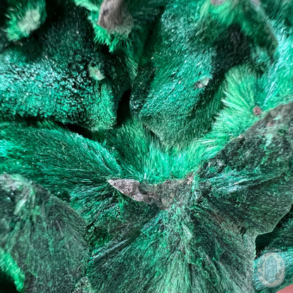 Fibrous Malachite Specimen with Display Stand