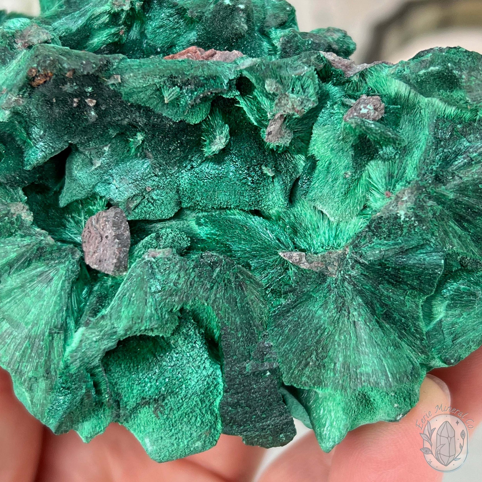 Fibrous Malachite Specimen with Display Stand