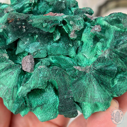 Fibrous Malachite Specimen with Display Stand