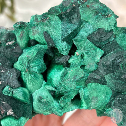 Fibrous Malachite Specimen with Display Stand