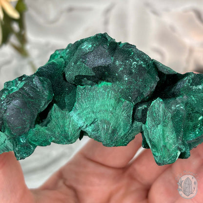 Fibrous Malachite Specimen with Display Stand