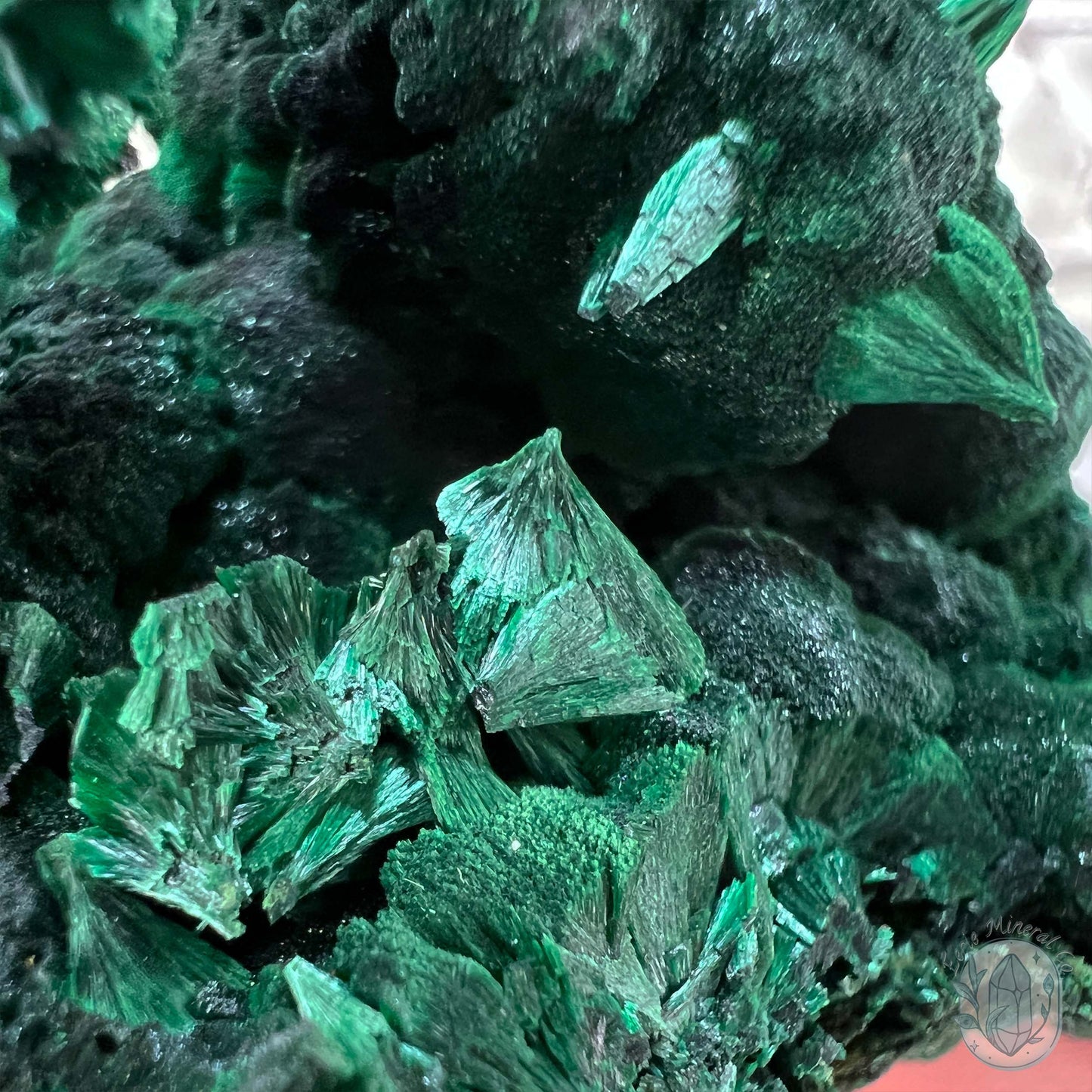Fibrous Malachite Specimen with Display Stand