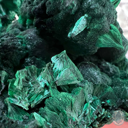 Fibrous Malachite Specimen with Display Stand