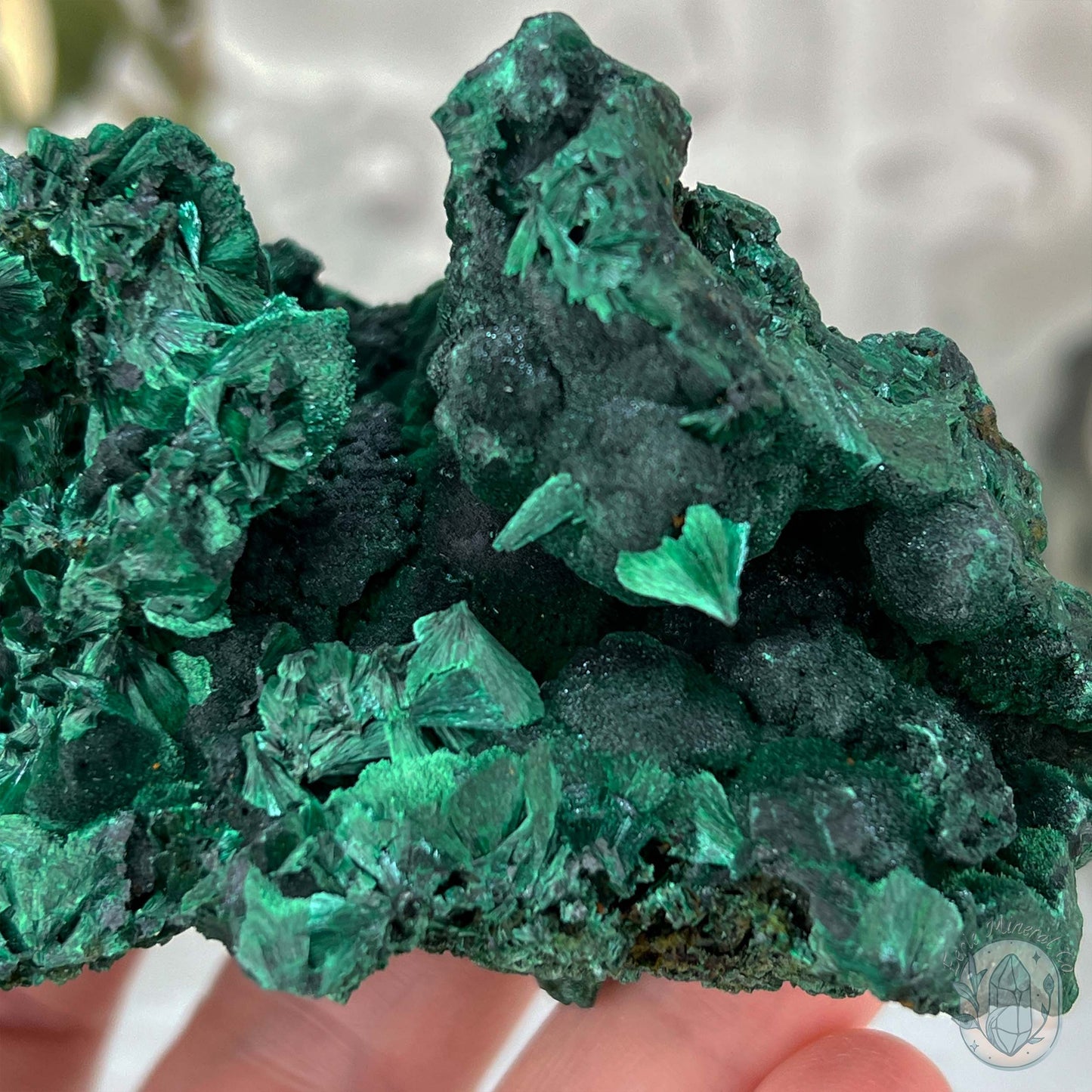 Fibrous Malachite Specimen with Display Stand