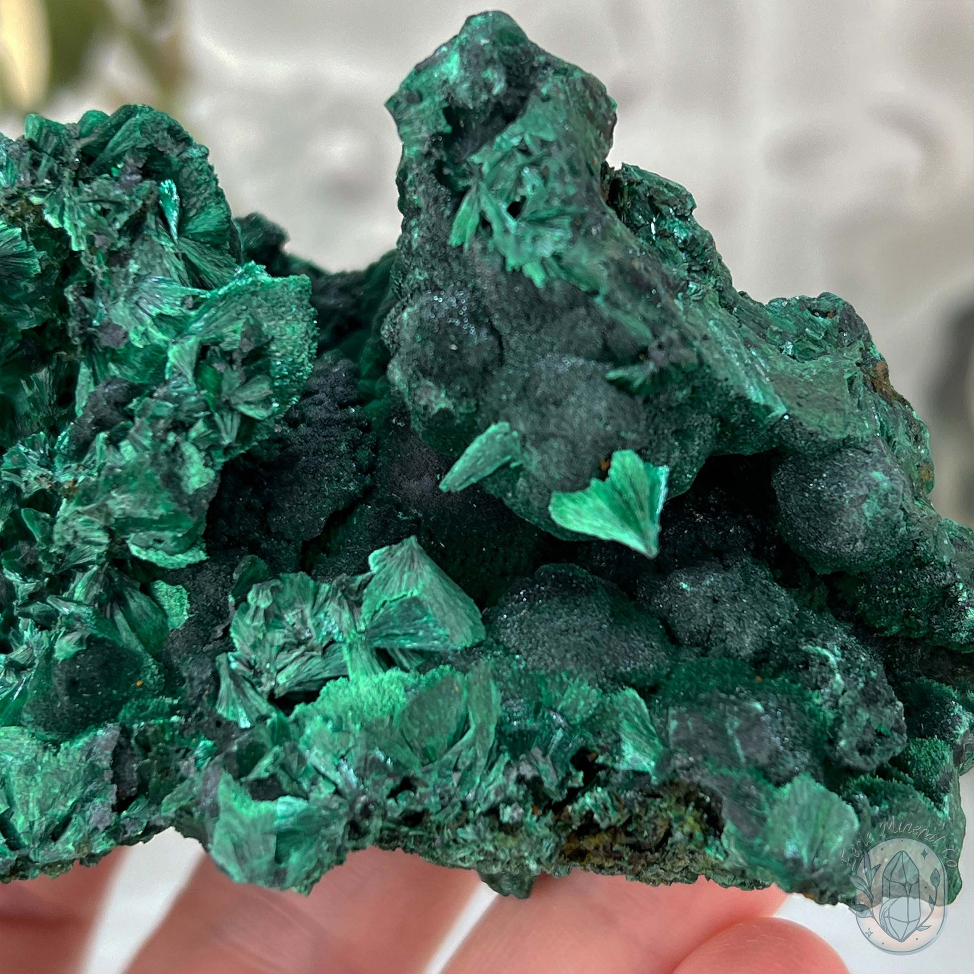 Fibrous Malachite Specimen with Display Stand