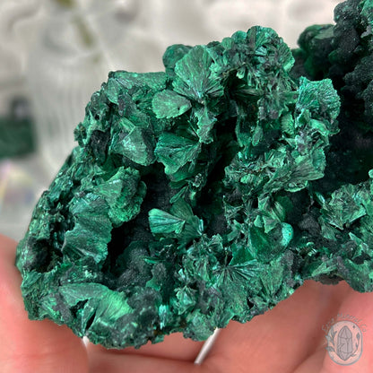 Fibrous Malachite Specimen with Display Stand