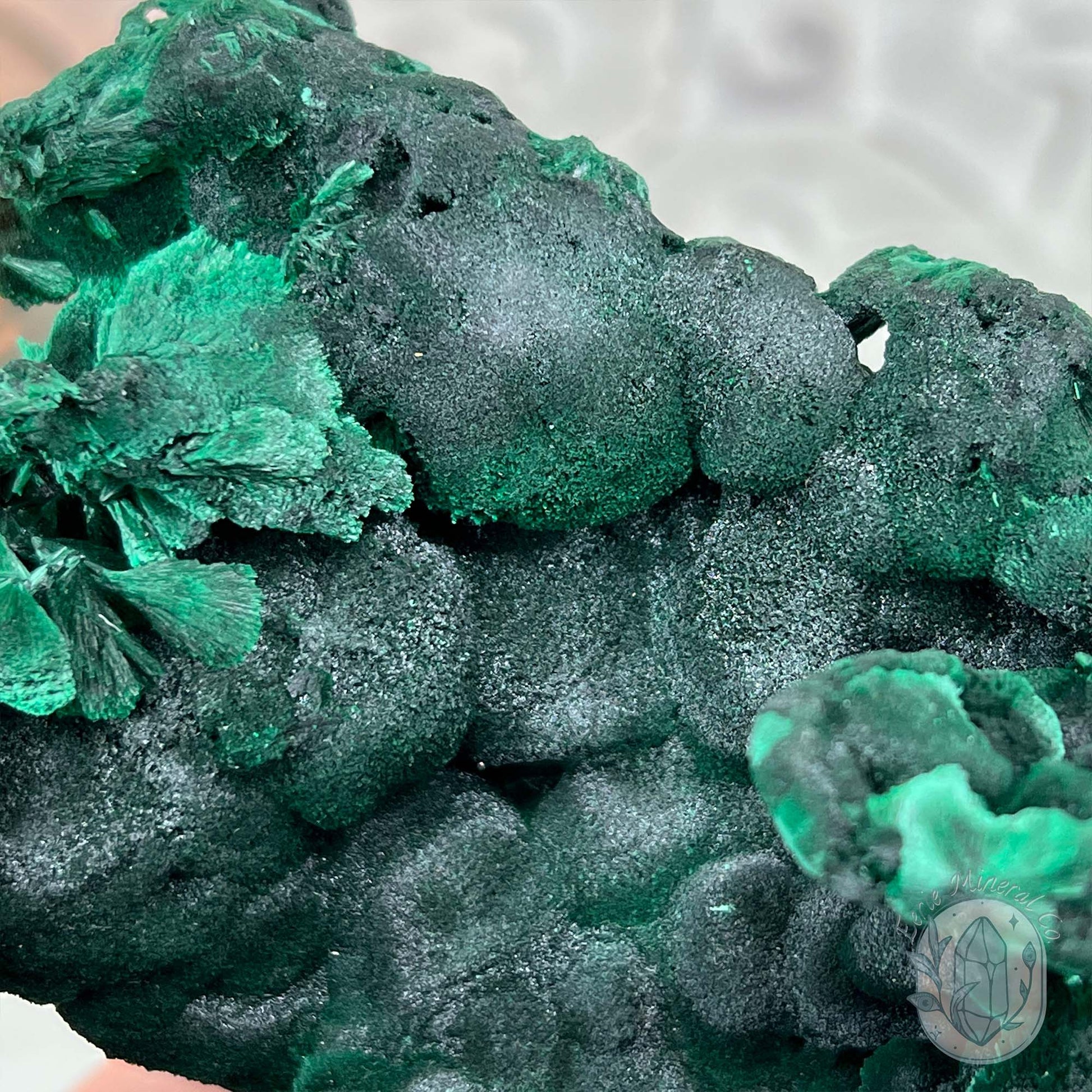 Silky Velvet Fibrous Malachite Specimen with Display Stand