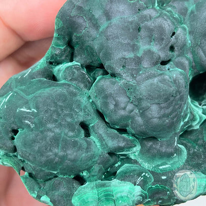 Silky Velvet Fibrous Malachite with Azurite Specimen