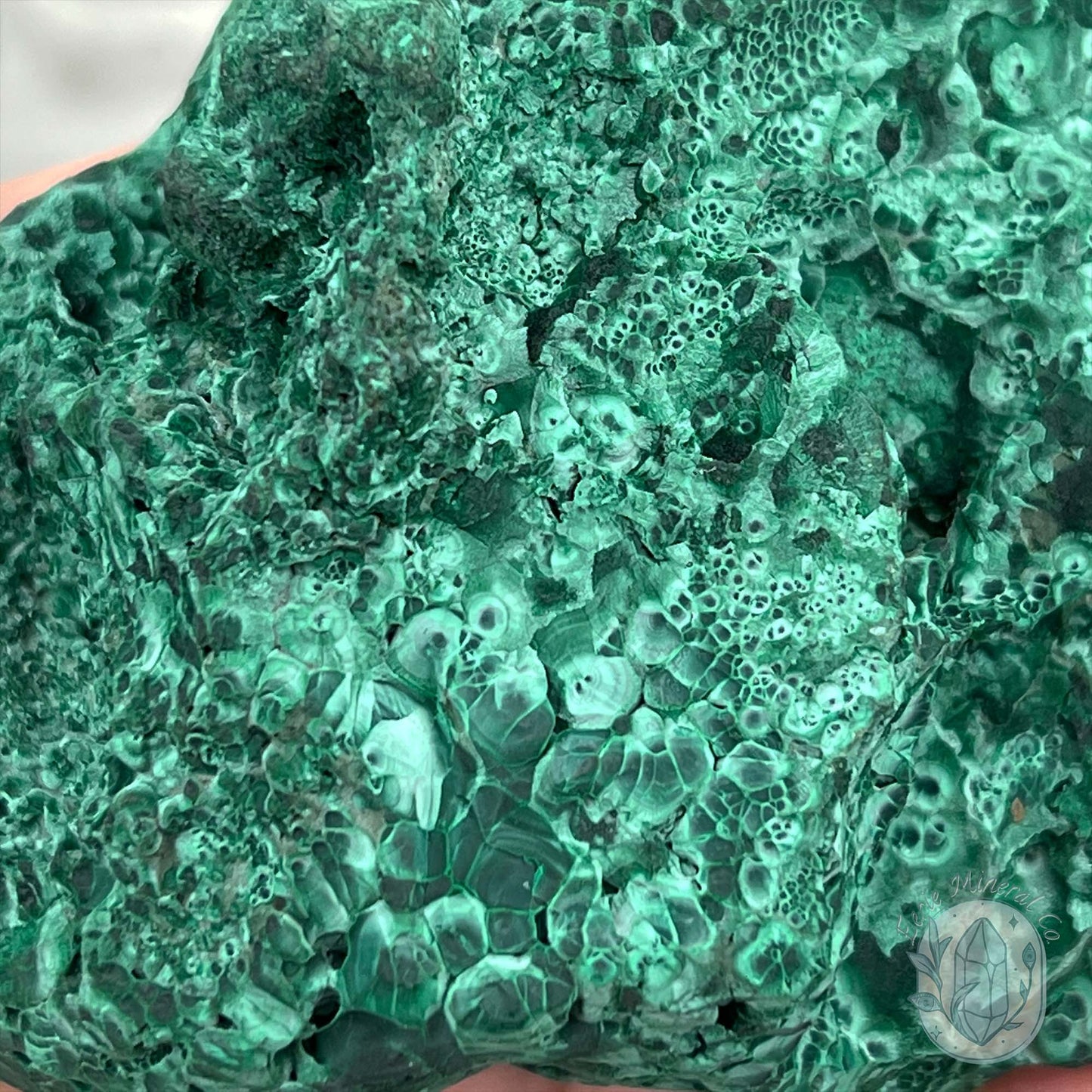 Silky Velvet Fibrous Malachite Specimen with Display Stand