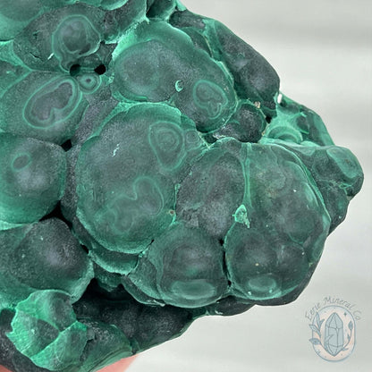 Silky Velvet Fibrous Malachite Specimen with Display Stand