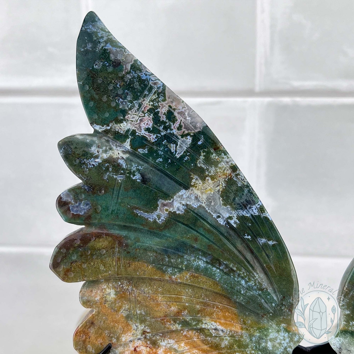 Polished Ocean Jasper Butterfly Wings on Stand