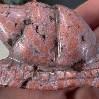 Polished Ocean Jasper Snail Carving