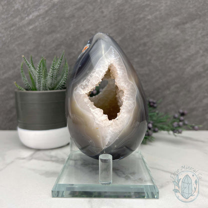 Orca Agate with Quartz Geode Egg with Display Stand