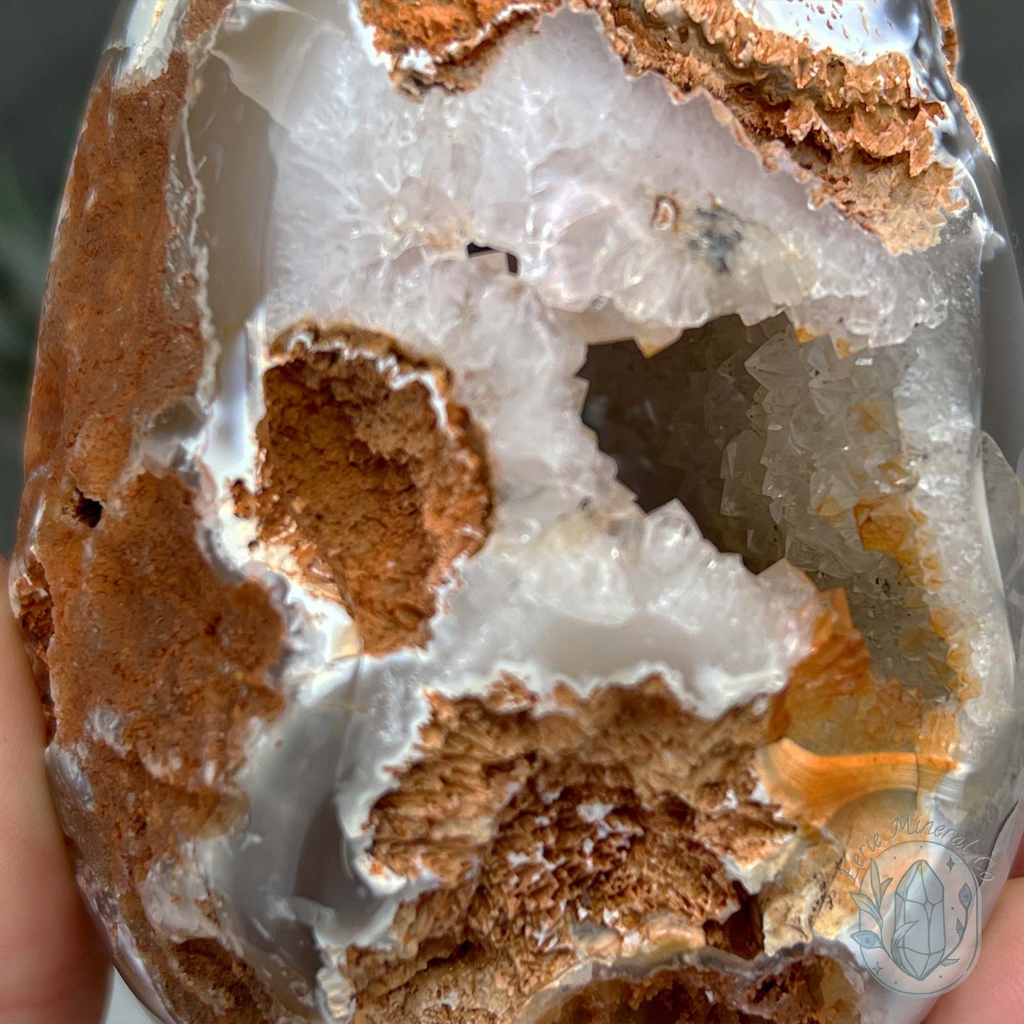Orca Agate Geode Egg with Display Stand