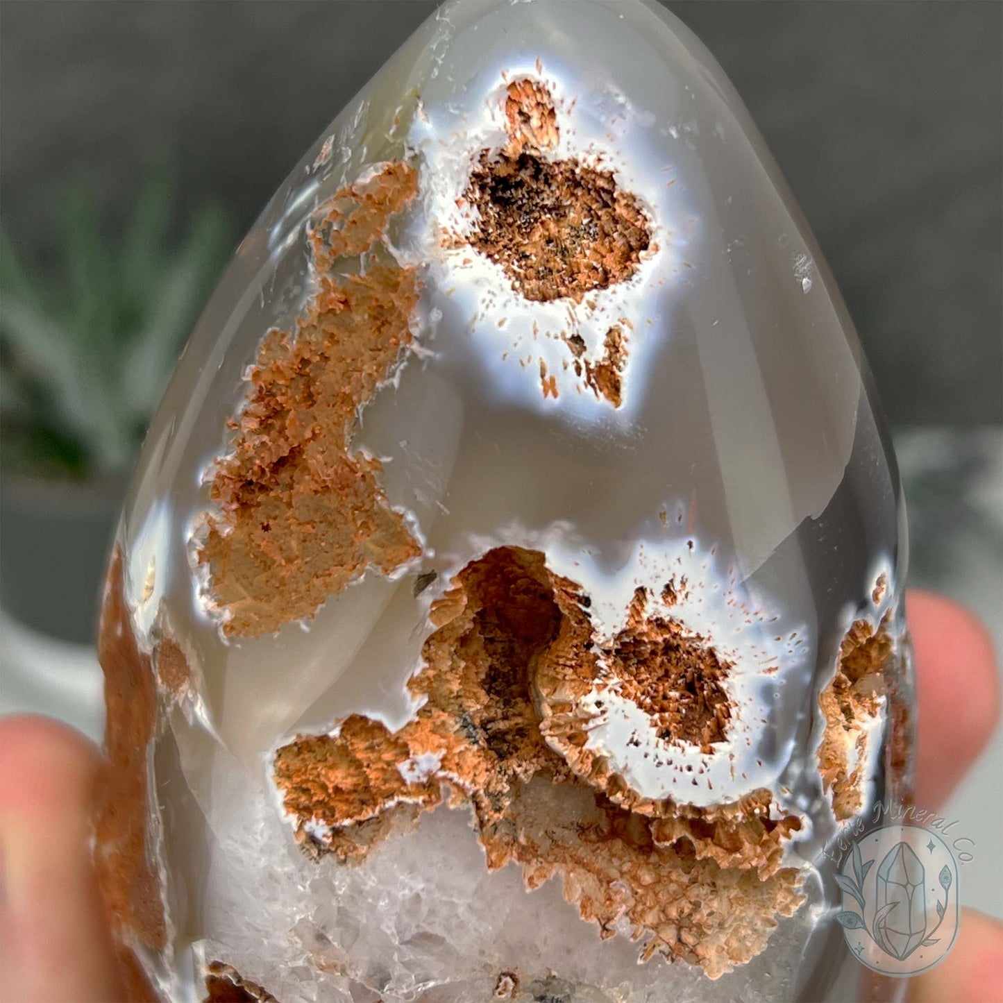Orca Agate Geode Egg with Display Stand
