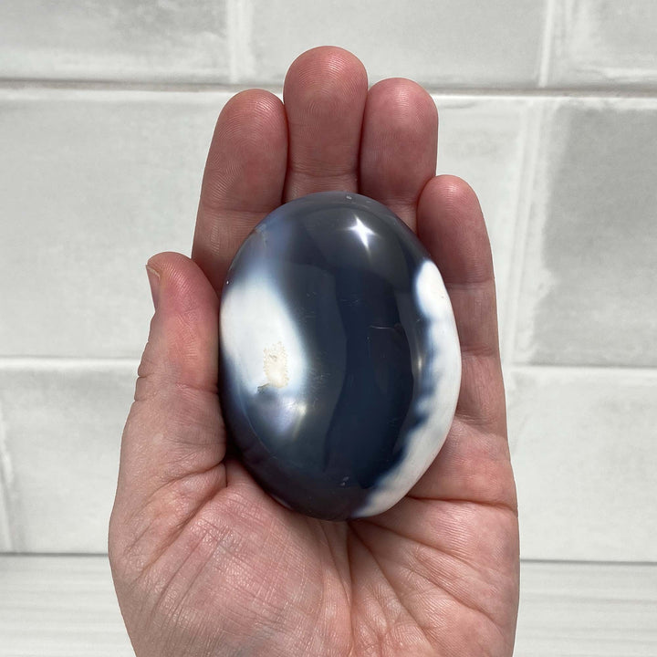 Polished Orca Agate Palmstones